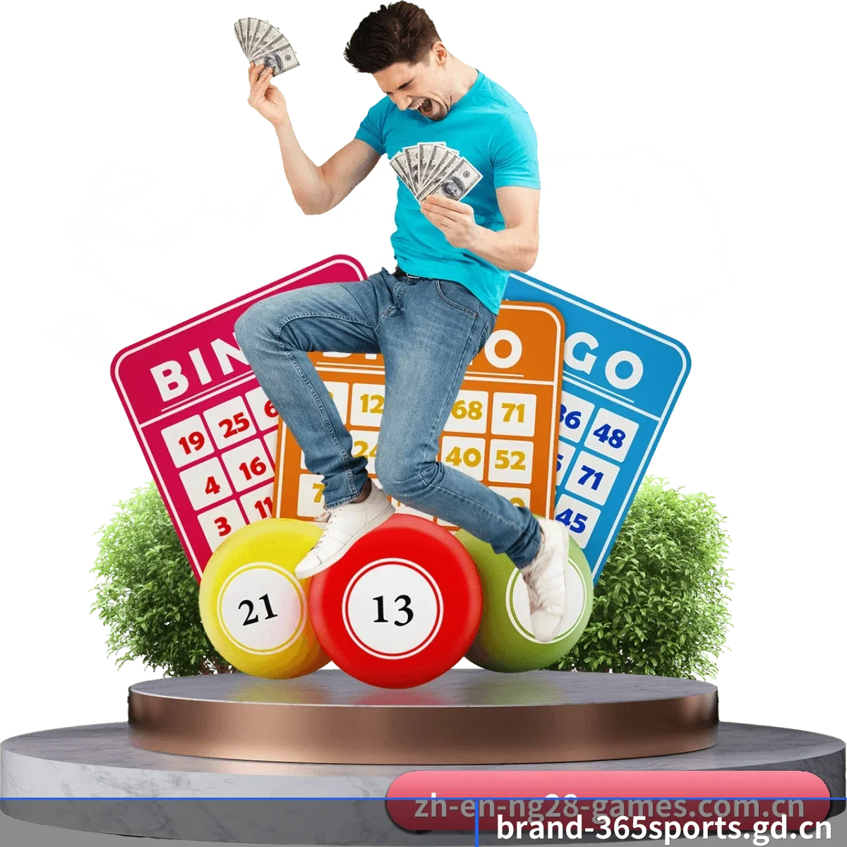 365体育官网 APP（365sports）